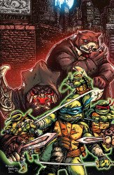 IDW Publishing's Teenage Mutant Ninja Turtles Issue # 14e