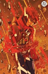 DC Comics's Absolute Flash Issue # 5d
