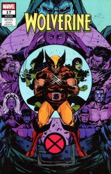 Marvel Comics's Wolverine Issue # 17b