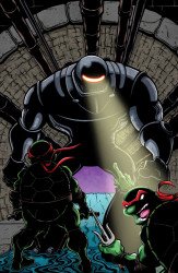 IDW Publishing's Teenage Mutant Ninja Turtles: Journeys Issue # 4tmft-b