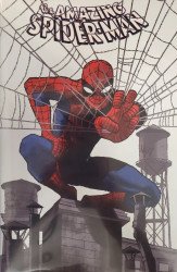 Marvel Comics's The Amazing Spider-Man Issue 1d
