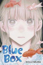 Viz Media's Blue Box Soft Cover # 17