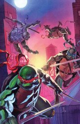 IDW Publishing's Teenage Mutant Ninja Turtles Issue # 13anz-b