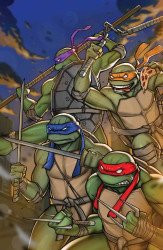 IDW Publishing's Teenage Mutant Ninja Turtles Issue # 15cbbst-a