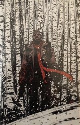 Image Comics's The Walking Dead Issue 7blind bag-b