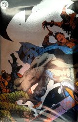 DC Comics's Batman Issue # 1fan expo-b