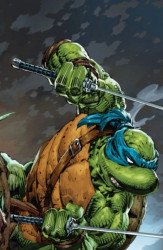 IDW Publishing's Teenage Mutant Ninja Turtles Issue # 10the 616-a
