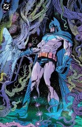 DC Comics's Batman Issue # 13i