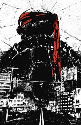 IDW Publishing's Teenage Mutant Ninja Turtles Issue # 15tcm-b