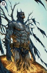 DC Comics's Batman Issue # 14g