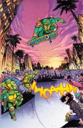 IDW Publishing's Teenage Mutant Ninja Turtles Issue # 13anz-c