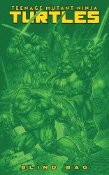 IDW Publishing's Teenage Mutant Ninja Turtles Issue # 13f