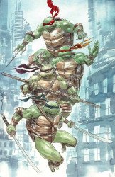 IDW Publishing's Teenage Mutant Ninja Turtles Issue # 13anz-d
