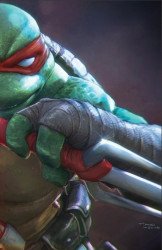 IDW Publishing's Teenage Mutant Ninja Turtles Issue # 10the 616-d