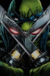 IDW Publishing's Teenage Mutant Ninja Turtles Issue # 13one stop-c