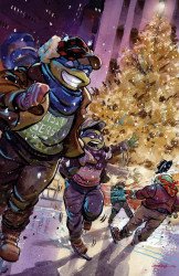 IDW Publishing's Teenage Mutant Ninja Turtles Issue # 13tmft