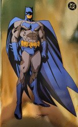 DC Comics's Batman Issue # 7i