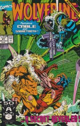 Marvel Comics's Wolverine Issue 41