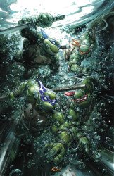 IDW Publishing's Teenage Mutant Ninja Turtles Issue # 15crain-b