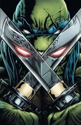 IDW Publishing's Teenage Mutant Ninja Turtles Issue # 13one stop-a