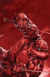 IDW Publishing's Teenage Mutant Ninja Turtles Issue # 10the 616-b