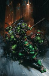 IDW Publishing's Teenage Mutant Ninja Turtles Issue # 13h