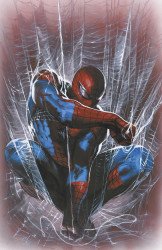 Marvel Comics's The Amazing Spider-Man Issue # 8f