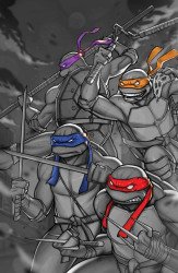 IDW Publishing's Teenage Mutant Ninja Turtles Issue # 15cbbst-b