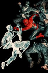 Marvel Comics's The Amazing Spider-Man Issue # 28e