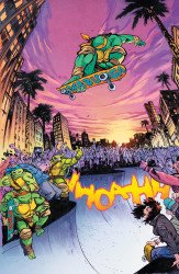 IDW Publishing's Teenage Mutant Ninja Turtles Issue # 13i